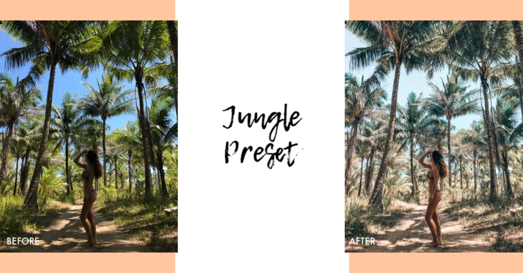 Before & after images with Justine's Jungle Preset