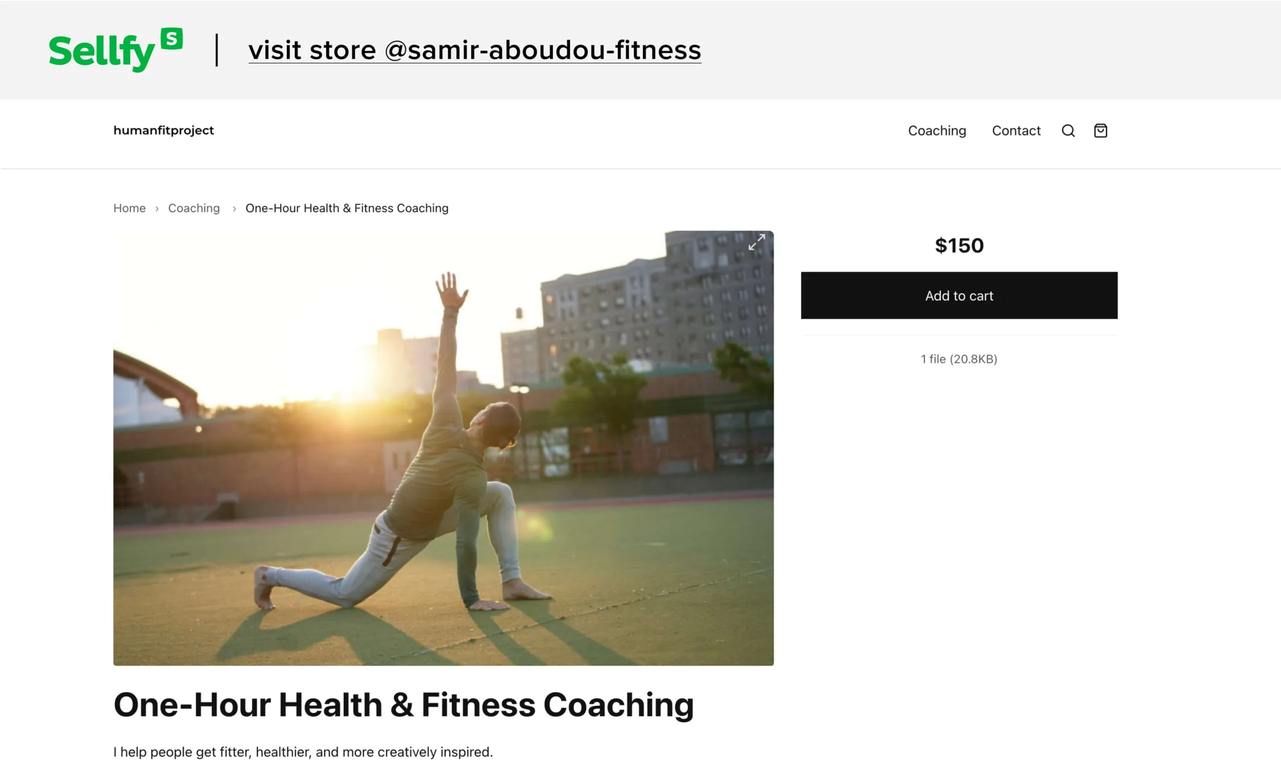 Example: HumanFitProject offers a $150 session, sharing decades of expertise.