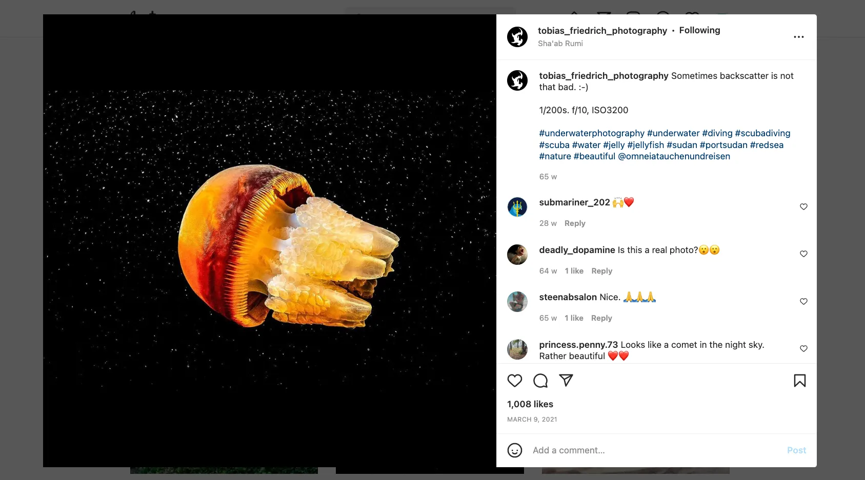 A post on [Tobias's Instagram account](https://www.instagram.com/tobias%5Ffriedrich%5Fphotography/?hl=en)
