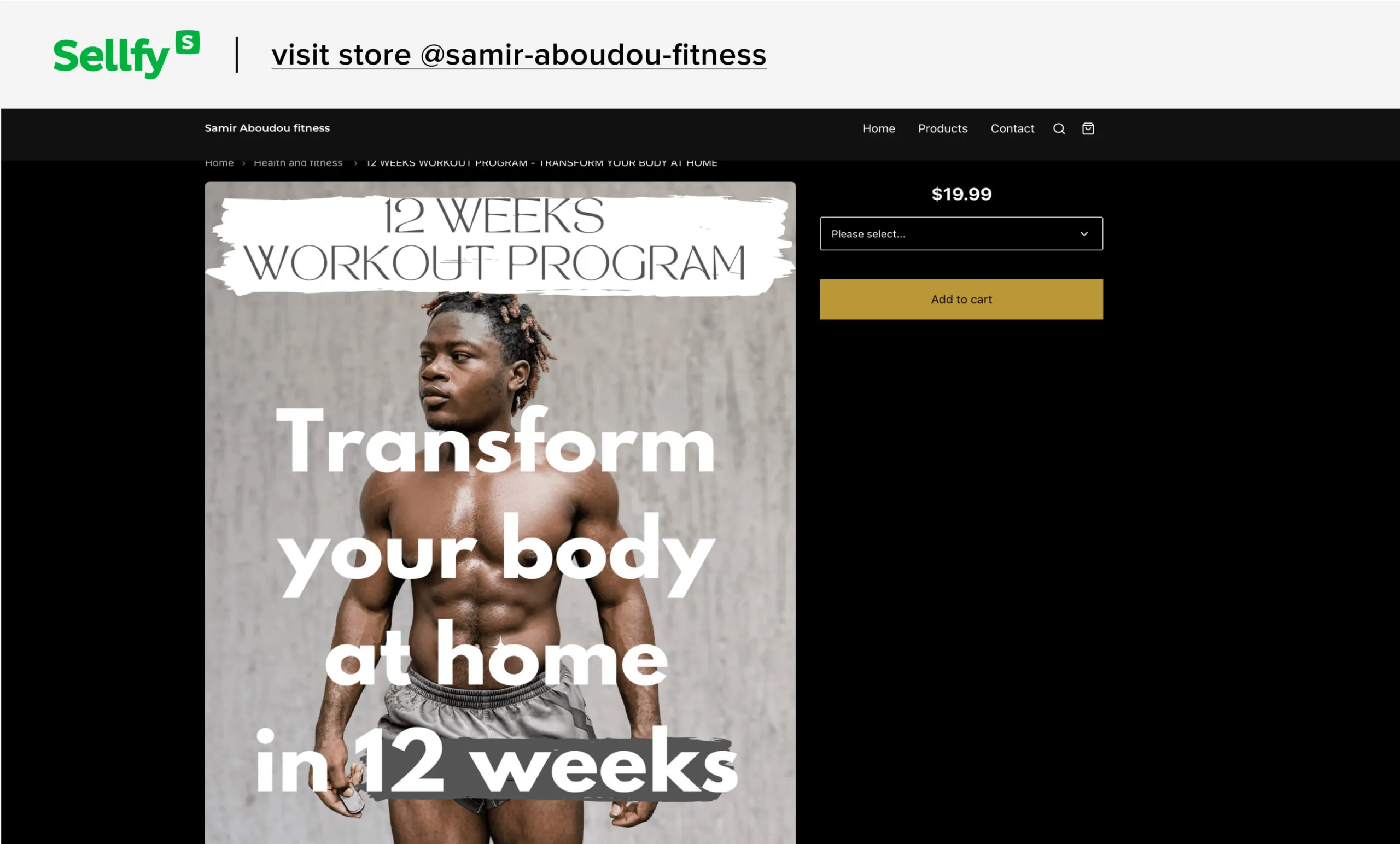 Example: online trainer Samir Aboudou's "12 Weeks Workout Program" keeps making significant sales.