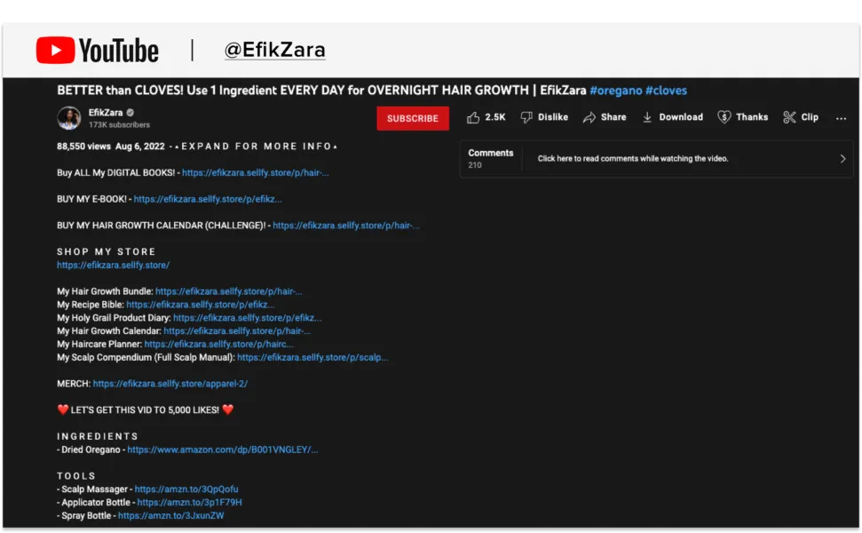 YouTube video description