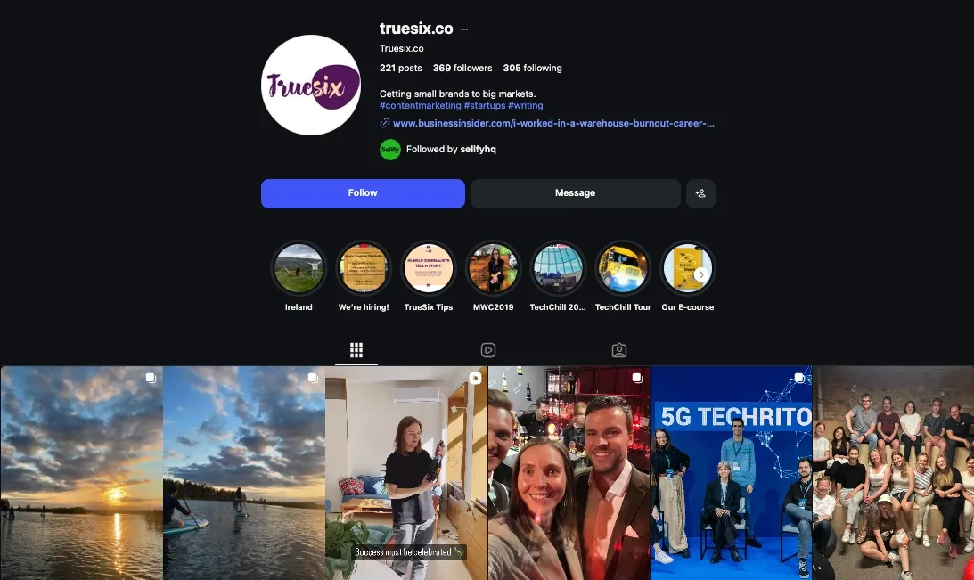 TrueSix business Instagram niche