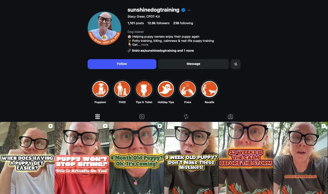 Sunshine Dog Training pets Instagram niche
