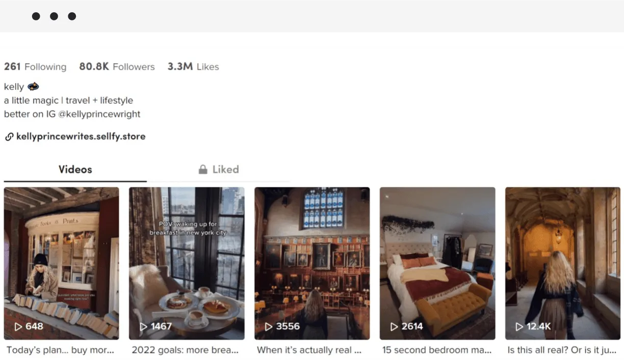TikTok ster voorbeeld: Sellfy-bedenker Kelly Prince-Wright gebruikt haar eigen presets in haar video's.