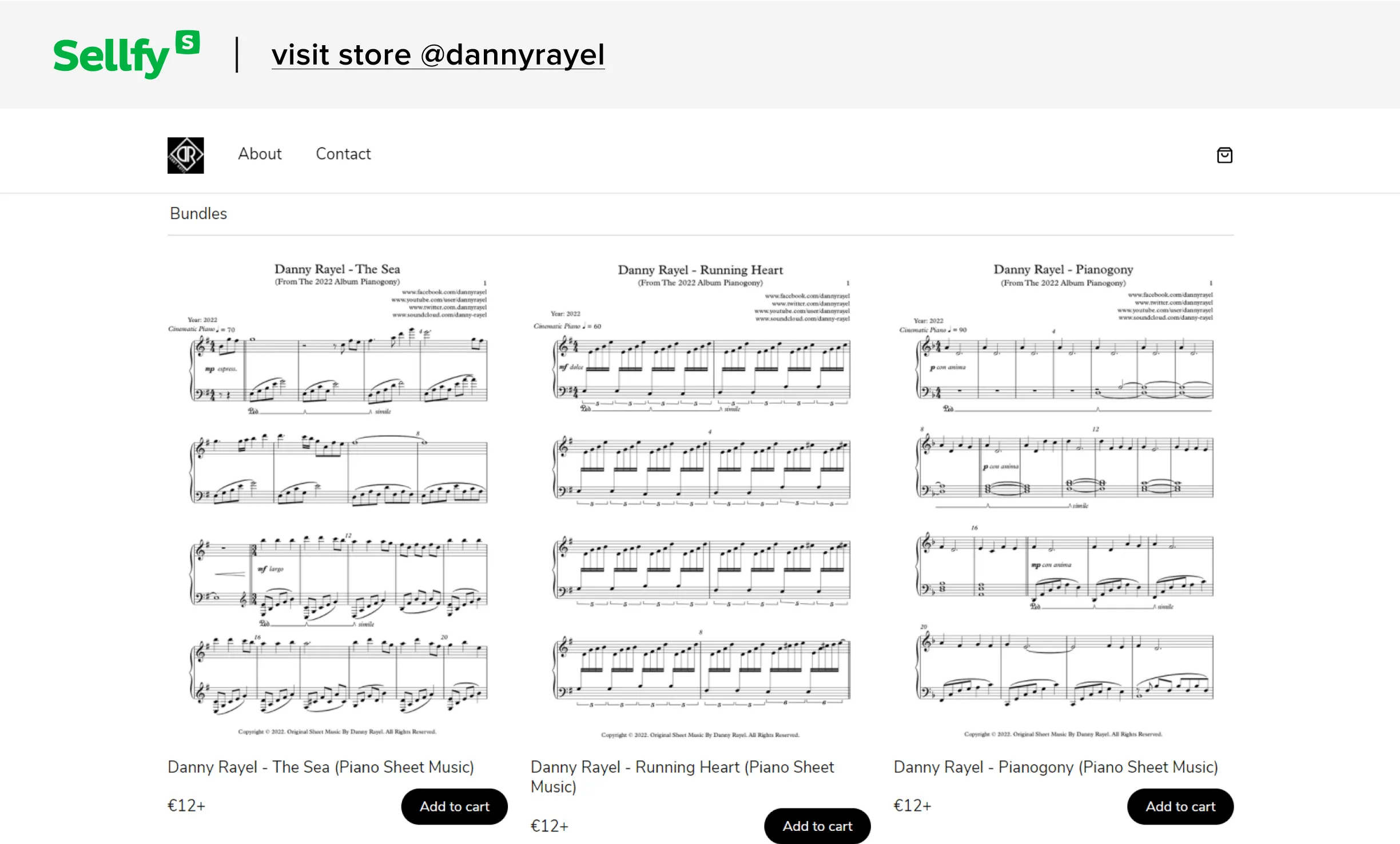 sellfy store danny rayel
