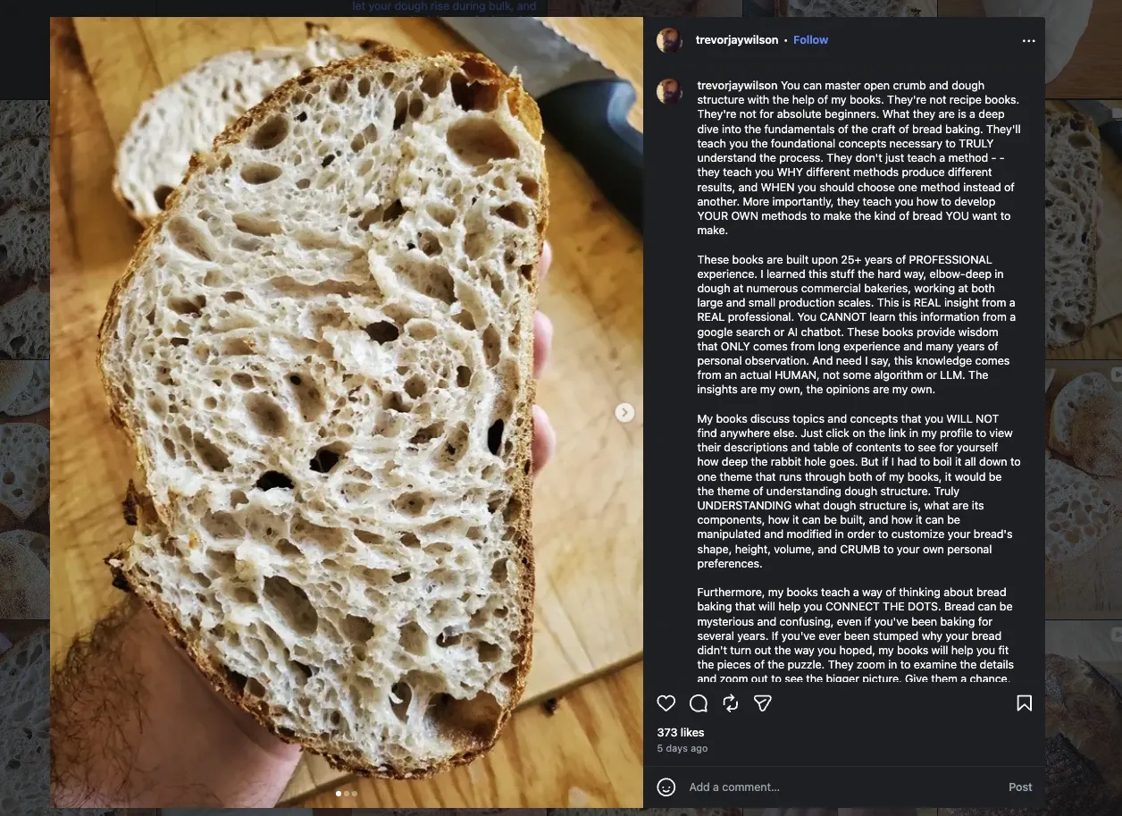 One of Trevor's Instagram posts with a long-form description about his books